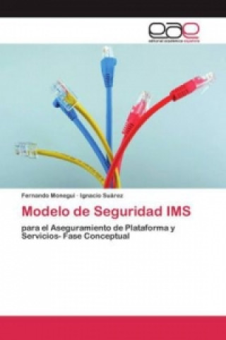 Kniha Modelo de Seguridad IMS Monegui Fernando