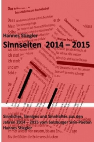 Libro Sinnseiten 2014 - 2015 Hannes Stiegler