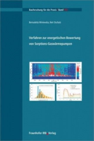 Kniha Verfahren zur energetischen Bewertung von Sorptions-Gaswärmepumpen Bernadetta Winiewska