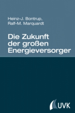 Carte Die Zukunft der großen Energieversorger Heinz-J. Bontrup