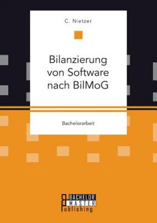 Kniha Bilanzierung von Software nach BilMoG Christian Nietzer