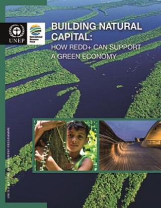 Könyv Building natural capital United Nations Environment Programme