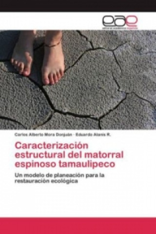 Βιβλίο Caracterizacion estructural del matorral espinoso tamaulipeco Mora Donjuan Carlos Alberto