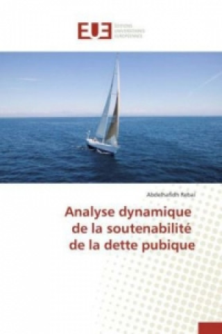 Kniha Analyse Dynamique de la Soutenabilite de la Dette Pubique Rebai-A
