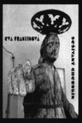 Könyv Sešívaný cherubín Eva Frantinová