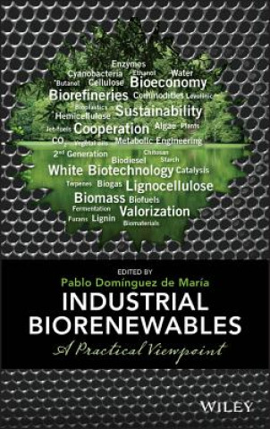 Книга Industrial Biorenewables: A Practical Viewpoint Pablo Dominguez de Maria
