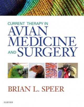 Book Current Therapy in Avian Medicine and Surgery Brian L. Speer