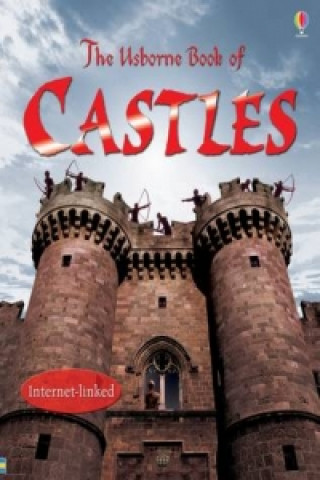 Knjiga Book of Castles [Library Edition] Lesley Sims