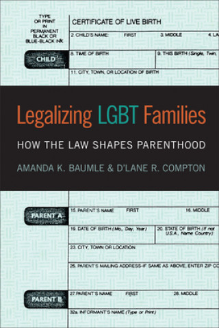 Kniha Legalizing LGBT Families Amanda Baumle