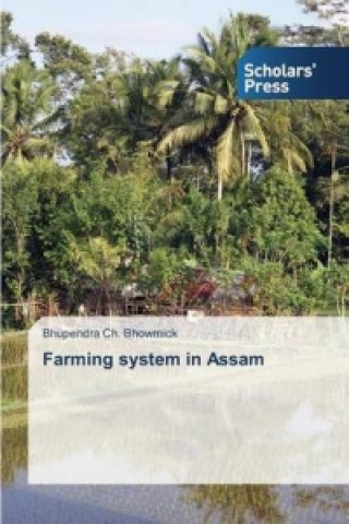 Kniha Farming system in Assam Bhowmick Bhupendra Ch