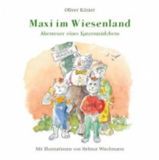 Książka Abenteuer eines Katzenmädchens - Maxi im Wiesenland Oliver Küster