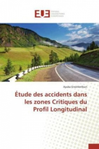 Książka Etude Des Accidents Dans Les Zones Critiques Du Profil Longitudinal Gnonlonfoun-A