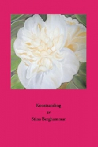 Livre Konstsamling av Stina Berghammar Stina Berghammar