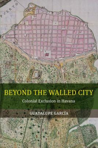 Livre Beyond the Walled City Guadalupe Garcia