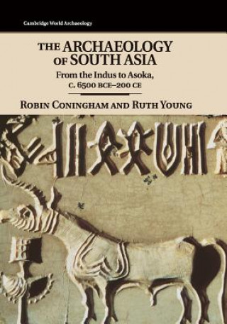 Kniha Archaeology of South Asia Robin Coningham