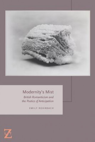 Libro Modernity's Mist Emily Rohrbach