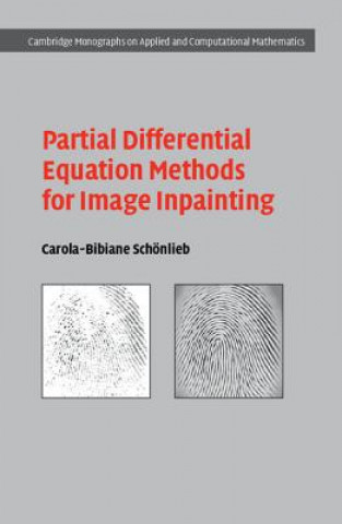 Buch Partial Differential Equation Methods for Image Inpainting Carola-Bibiane Schönlieb