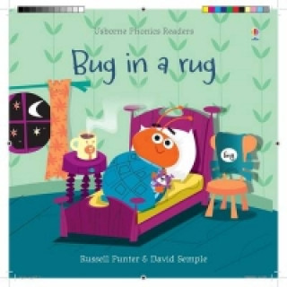 Książka Bug in a Rug Russell Punter