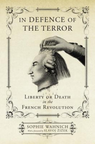 Livre In Defence of the Terror Sophie Wahnich