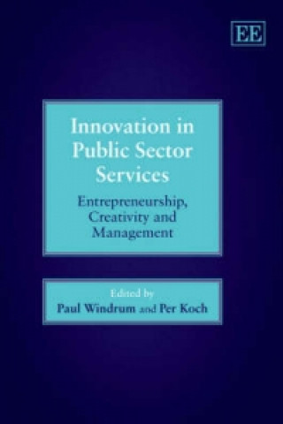 Könyv Innovation in Public Sector Services 