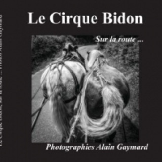 Kniha Le cirque Bidon Alain Gaymard