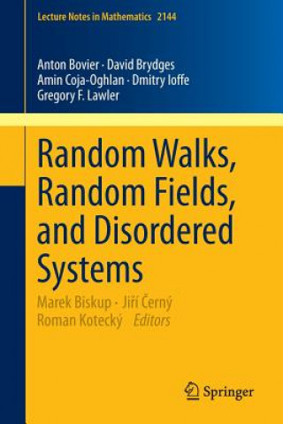 Książka Random Walks, Random Fields, and Disordered Systems Anton Bovier