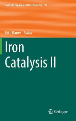 Książka Iron Catalysis II Eike Bauer