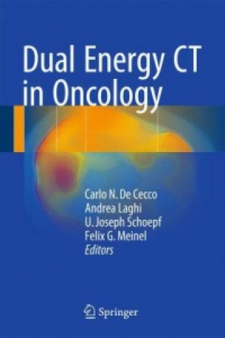 Könyv Dual Energy CT in Oncology Carlo N. de Cecco