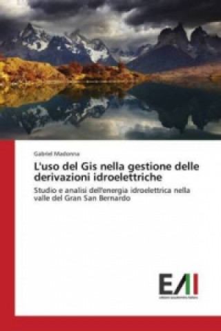 Knjiga L'uso del Gis nella gestione delle derivazioni idroelettriche Madonna Gabriel