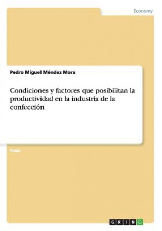 Book Condiciones y factores que posibilitan la productividad en la industria de la confeccion Pedro Miguel Mendez Mora