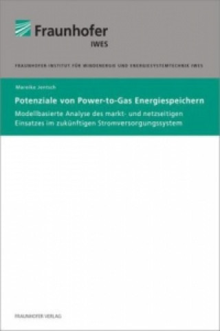 Книга Potenziale von Power-to-Gas Energiespeichern Mareike Jentsch