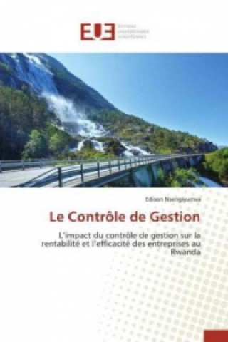 Book Le Controle de Gestion Nsengiyumva-E