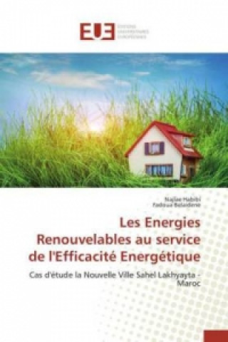 Libro Les Energies Renouvelables Au Service de l'Efficacite Energetique 