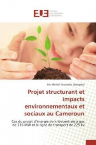 Carte Projet Structurant Et Impacts Environnementaux Et Sociaux Au Cameroun Djieugoue-E