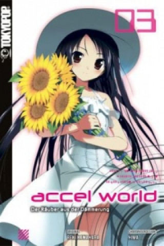 Könyv Accel World - Der Räuber aus der Dämmerung Reki Kawahara