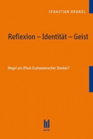 Kniha Reflexion - Identität - Geist Sebastian Brandl