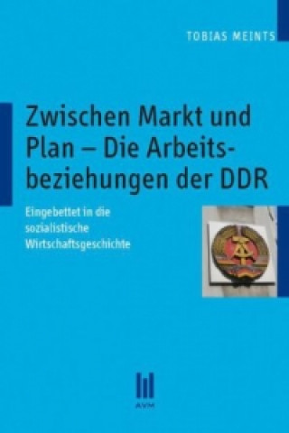 Könyv Zwischen Markt und Plan - Die Arbeitsbeziehungen der DDR Tobias Meints