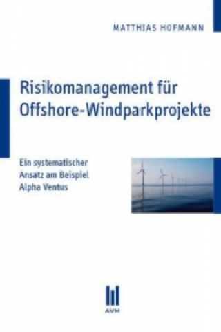 Kniha Risikomanagement für Offshore-Windparkprojekte Matthias Hofmann