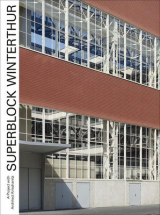 Livre Superblock Winterthur - A Project with Architect Krischanitz Hans-Peter Bartschi