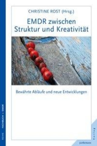 Kniha EMDR zwischen Struktur und Kreativität Christine Rost