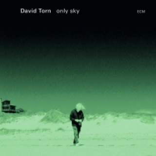 Audio Only Sky, 1 Audio-CD David Torn