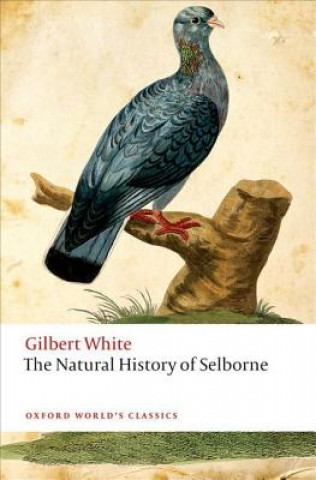Kniha Natural History of Selborne Gilbert White