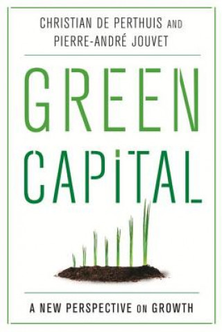 Book Green Capital Christian de Perthuis