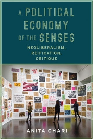 Livre Political Economy of the Senses Anita Chari