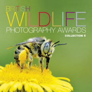 Kniha British Wildlife Photography Awards: Collection 6 