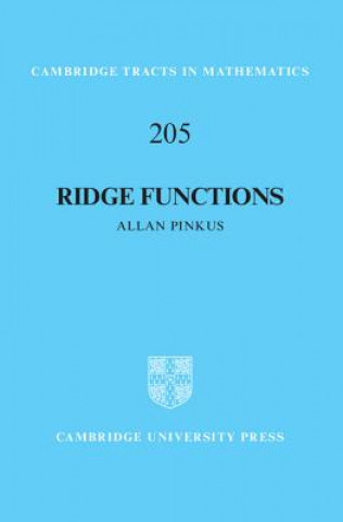 Kniha Ridge Functions Allan Pinkus
