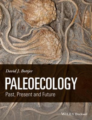 Книга Paleoecology - Past, Present and Future David J. Bottjer