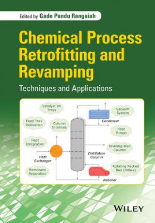 Kniha Chemical Process Retrofitting and Revamping - Techniques and Applications Gade Pandu Rangaiah