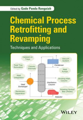 Buch Chemical Process Retrofitting and Revamping - Techniques and Applications Gade Pandu Rangaiah