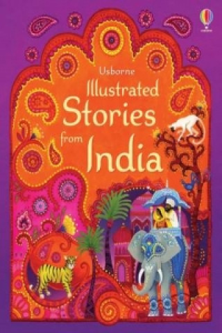 Kniha Illustrated Stories from India Anja Klauss